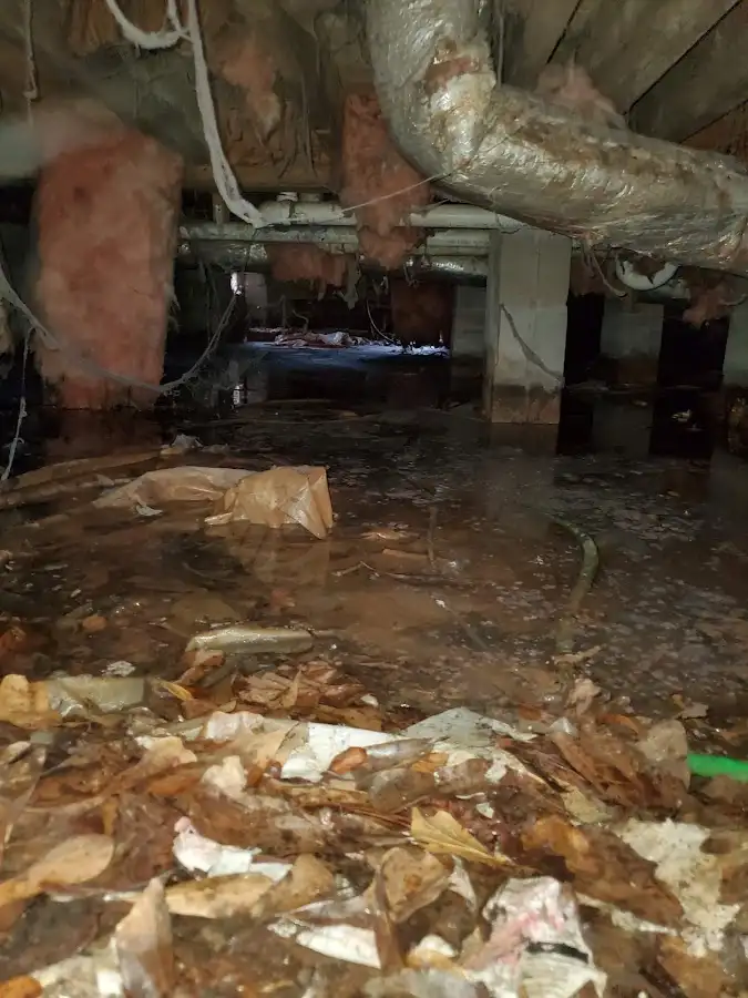 Crawl space flood assessment for Leak Detection & Repair in Surprise