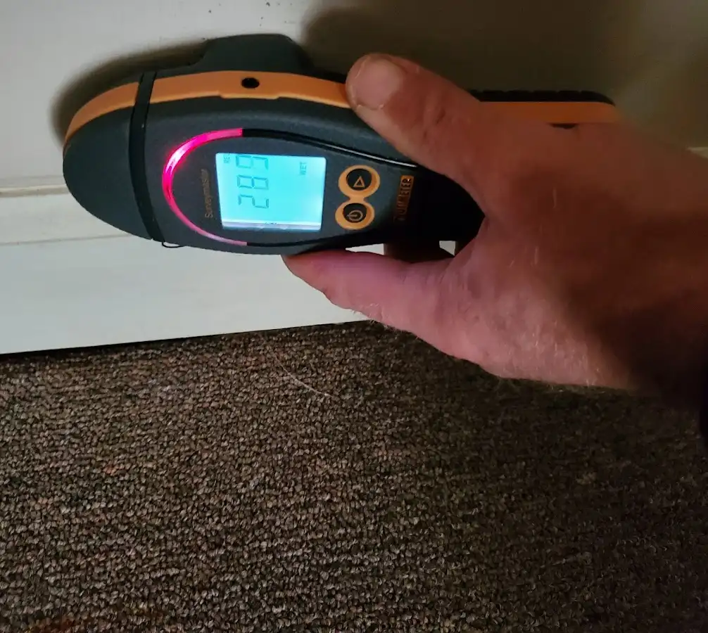 Moisture detection at baseboard during Mold Inspection & Testing in Surprise